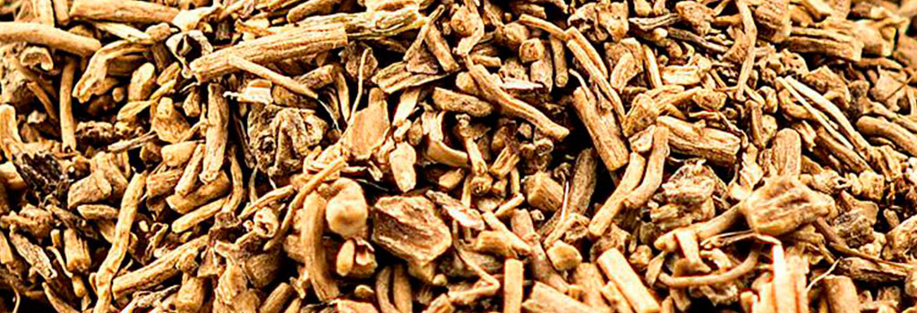 Kozlík Lékařský (Valeriana Officinalis), Stres A Spánek