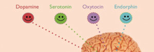 5-Hydroxytryptofan